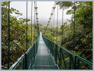 Costa Rica 2025_EOSR2712