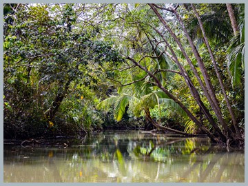 Costa Rica 2025_EOSR2726