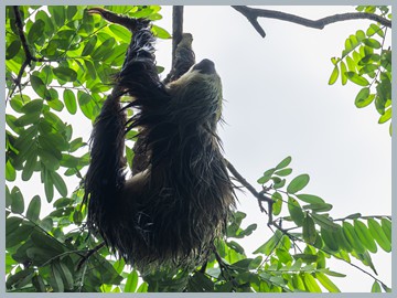 Costa Rica 2025_ER5_8200