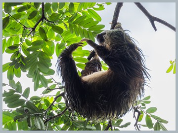 Costa Rica 2025_ER5_8206