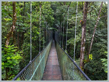 Costa Rica 2025_ER5_8298