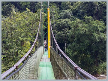 Costa Rica 2025_ER5_8336