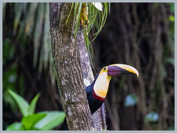 Costa Rica 2025_ER5_8403