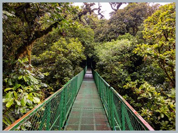 Costa Rica 2025_ER5_8746