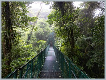 Costa Rica 2025_ER5_8774