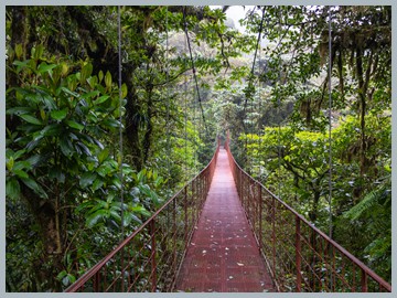 Costa Rica 2025_ER5_8778