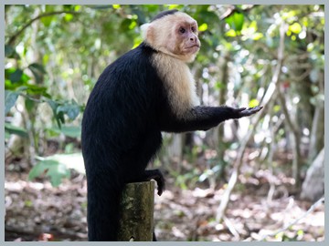 Costa Rica 2025_ER5_8914