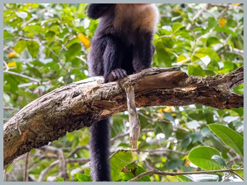 Costa Rica 2025_ER5_8936