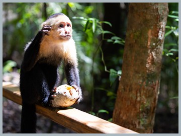 Costa Rica 2025_ER5_8944