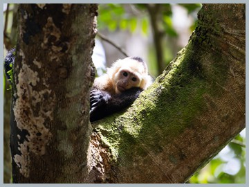 Costa Rica 2025_ER5_9127