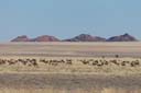Namibia_Landschaft_1DXB2577