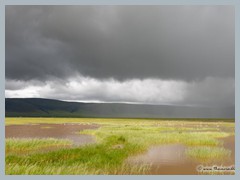 Ngorongoro Crater_EOSR2148