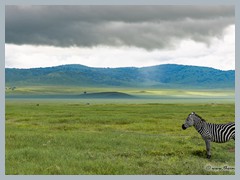 Ngorongoro Crater_EOSR2167