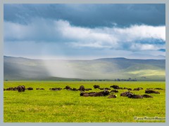 Ngorongoro Crater_EOSR2170