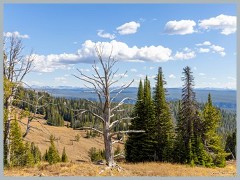 Yellowstone_ER5_1942