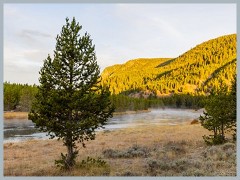 Yellowstone_ER5_2093